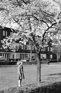 502441 Afbeelding van een meisje bij een boom met bloesem aan de Croeselaan te Utrecht.